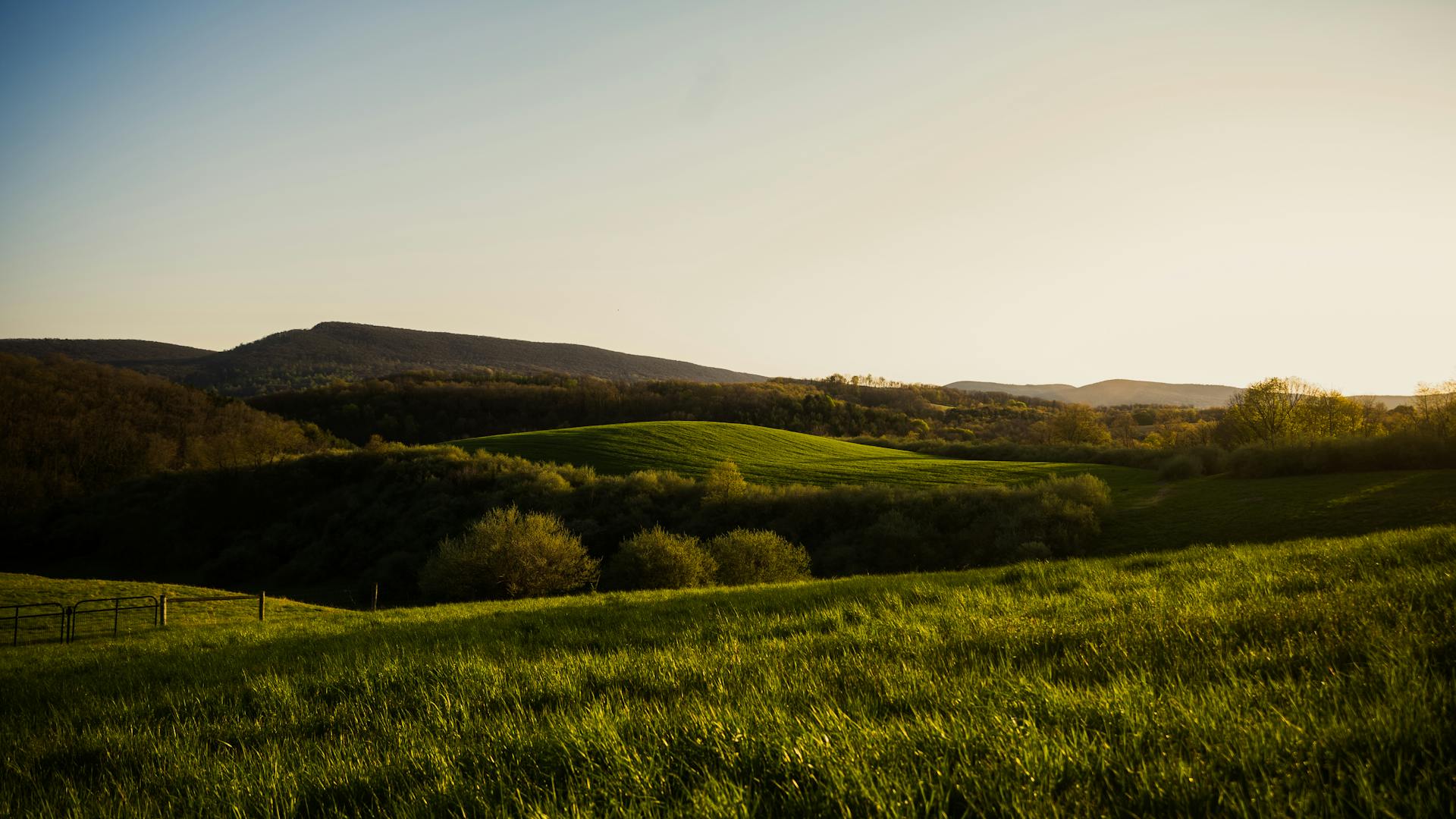 Serene view of rolling green hills under a clear sky during sunset in Pennsylvania.
