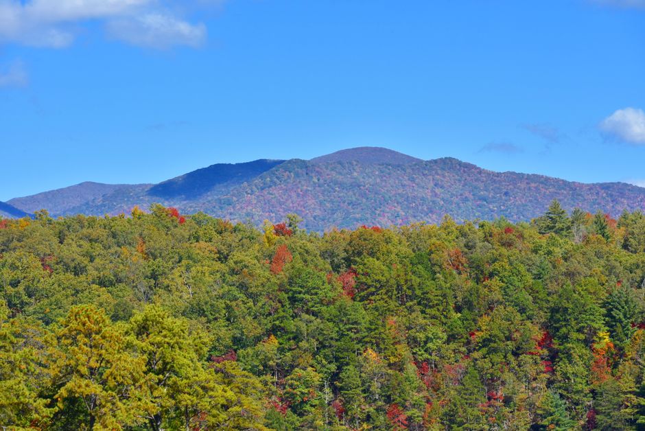 Forest hiking trail through autumn woods in the Appalachian mountains