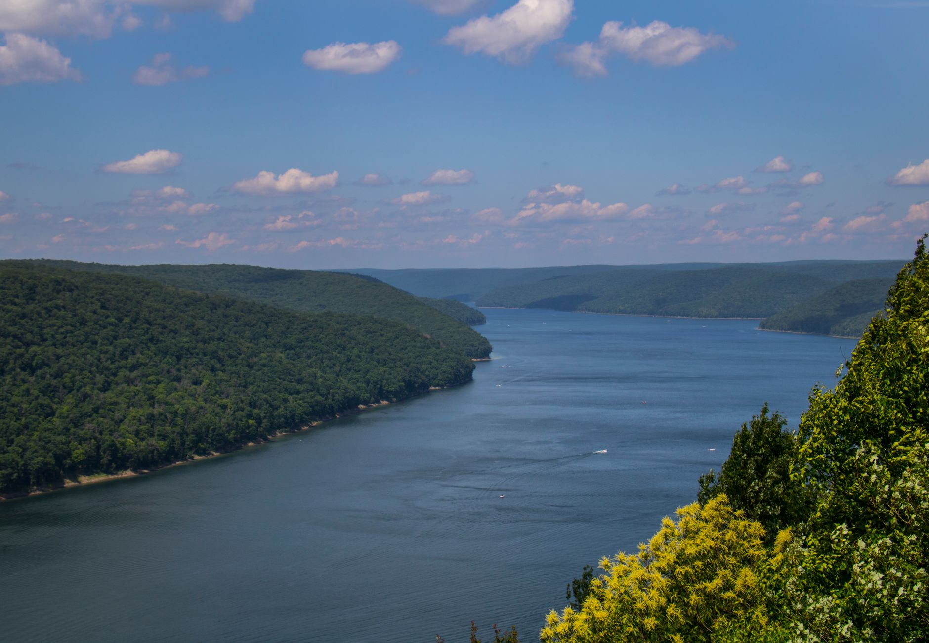 Scenic view of a calm river and lush forests under a cloudy sky in Marienville, PA.